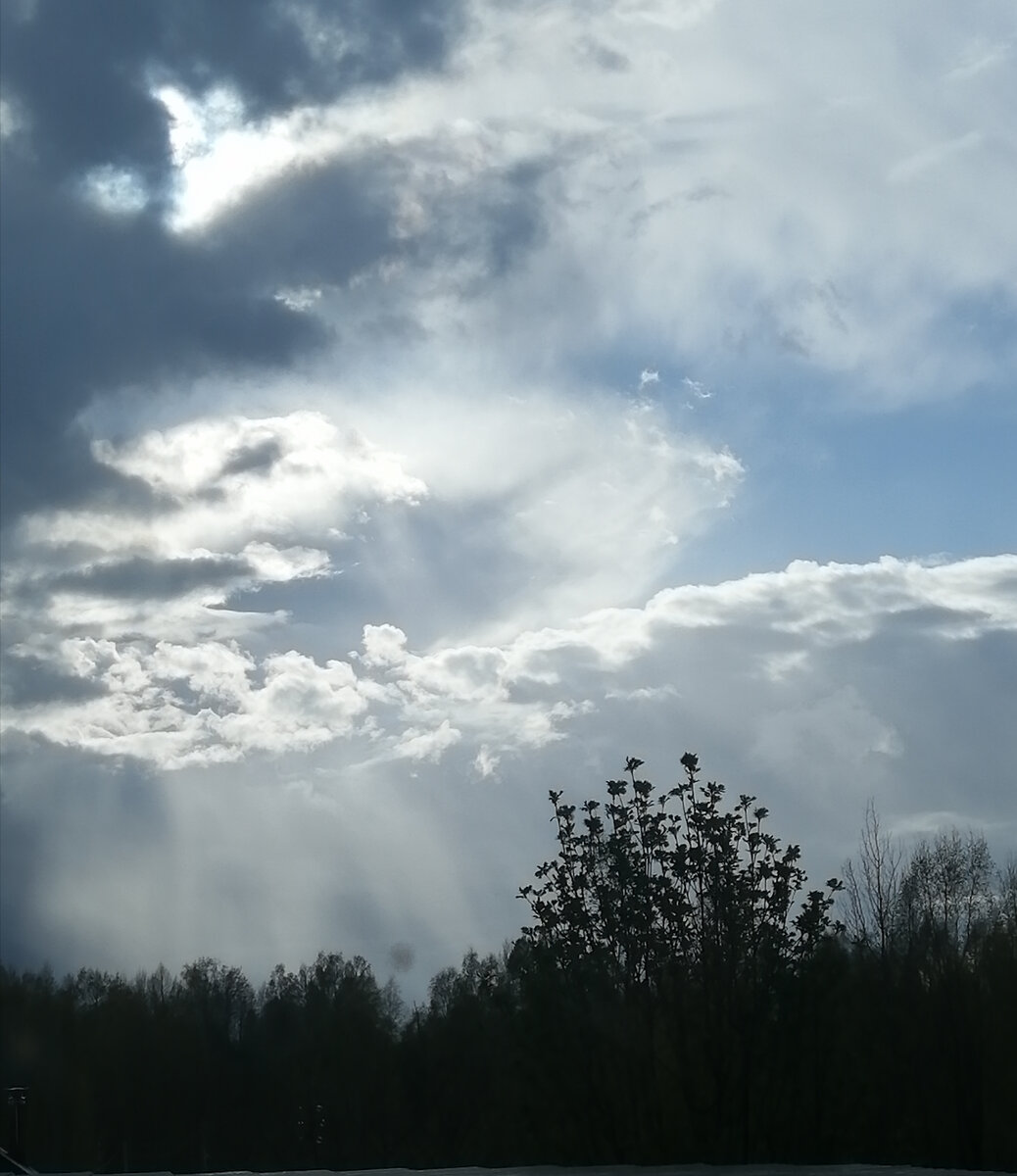 Всегда разное