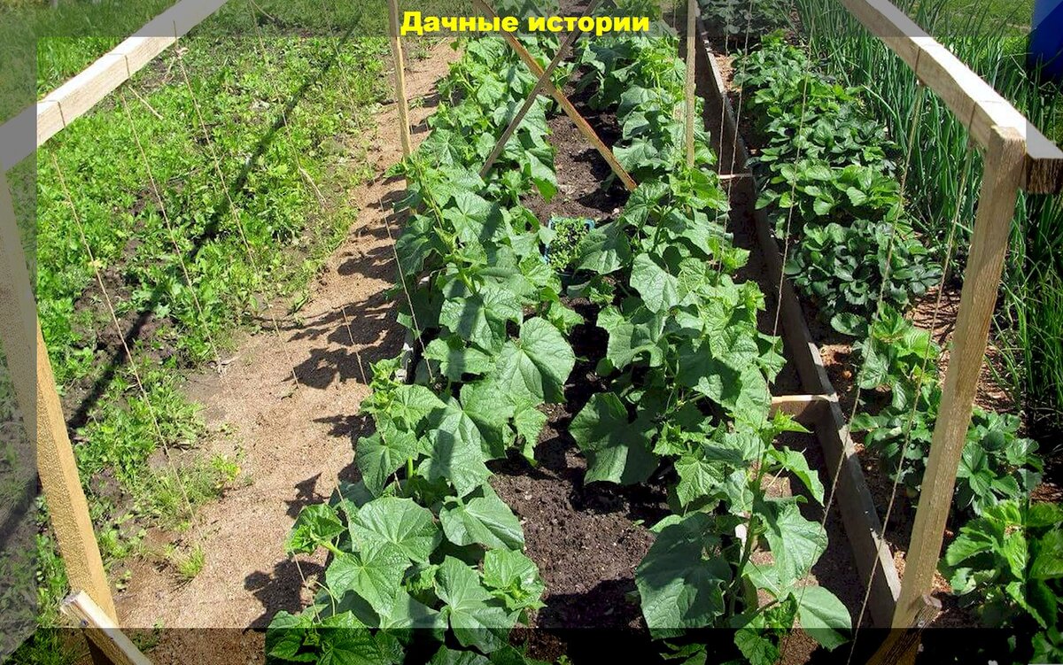 https://vk.com/photo-159774511_457253766