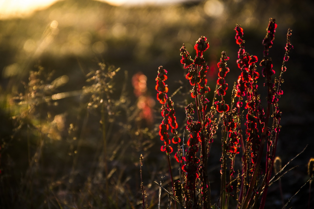 Фото: Александра Кузнецова / GeoPhoto