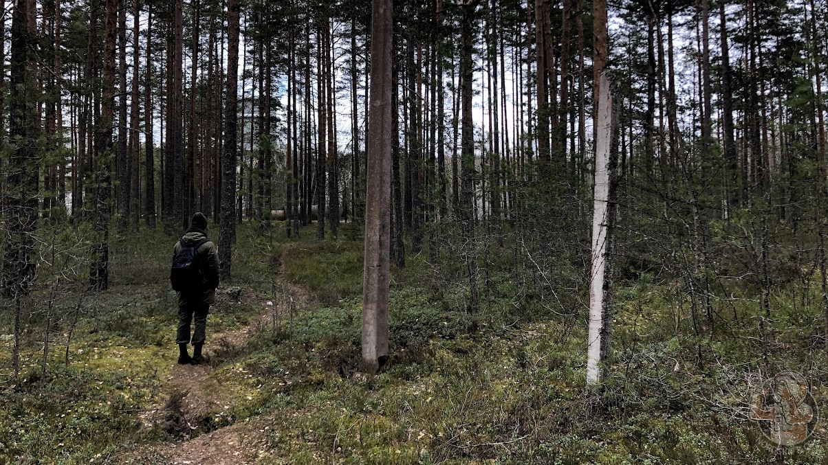 Заброшенный полигон высоковольтных испытаний: загадочные находки в лесу оставшиеся со времен Советского Союза14