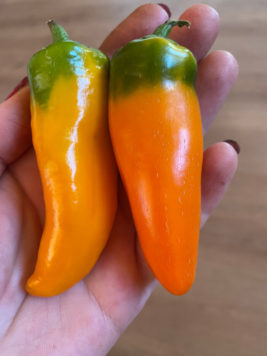 Личное фото 