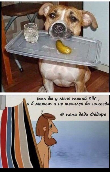 Да уж, точно)