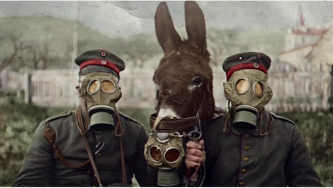 Яндекс.картинки