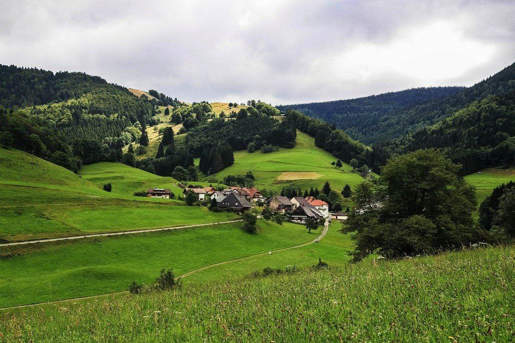 Шварцвальд. Здесь великолепные ландшафты!