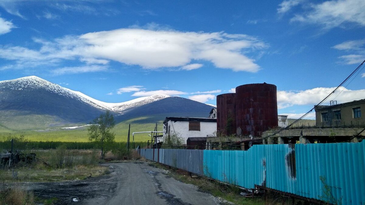 В Якутии медведь-шатун вышел на свалку рядом с поселком Усть-Нера. Фото и видео