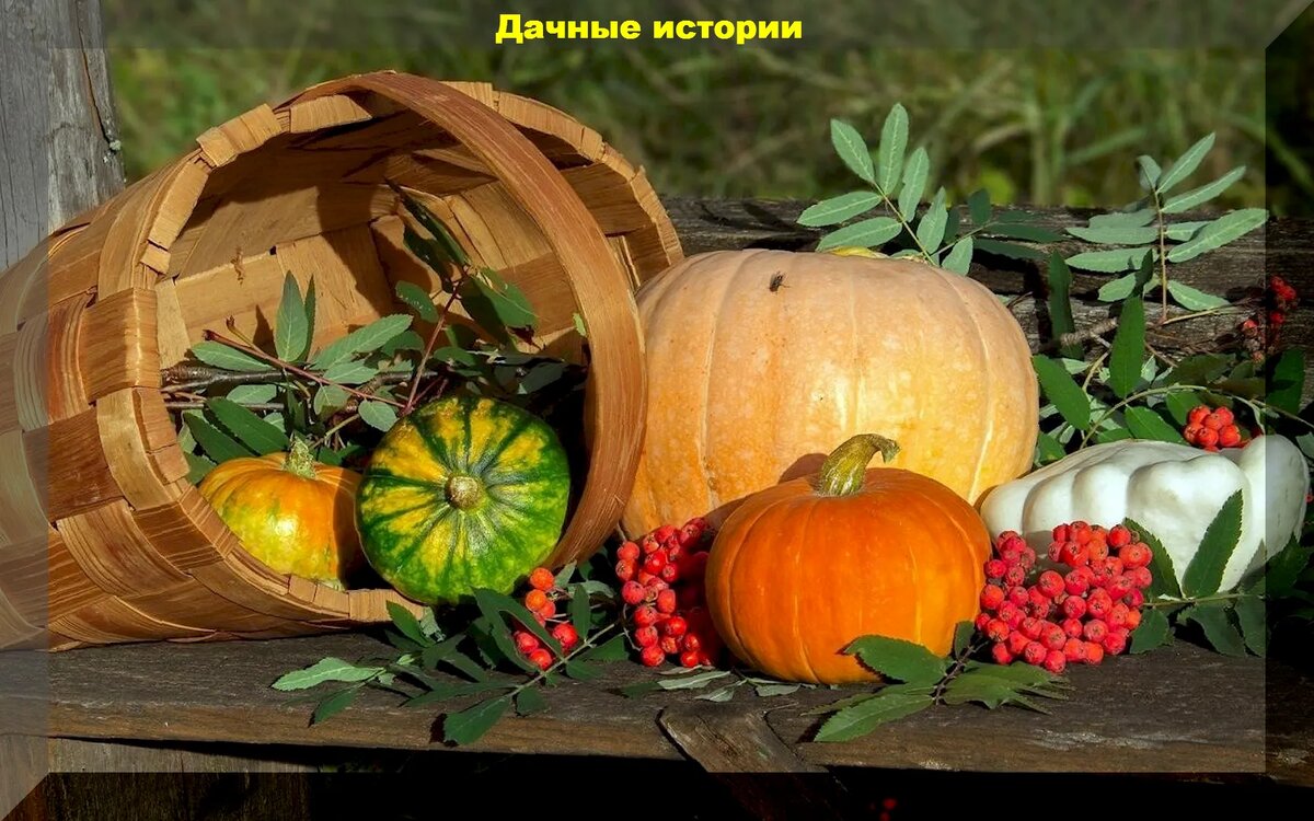 https://vk.com/photo-159774511_457255515