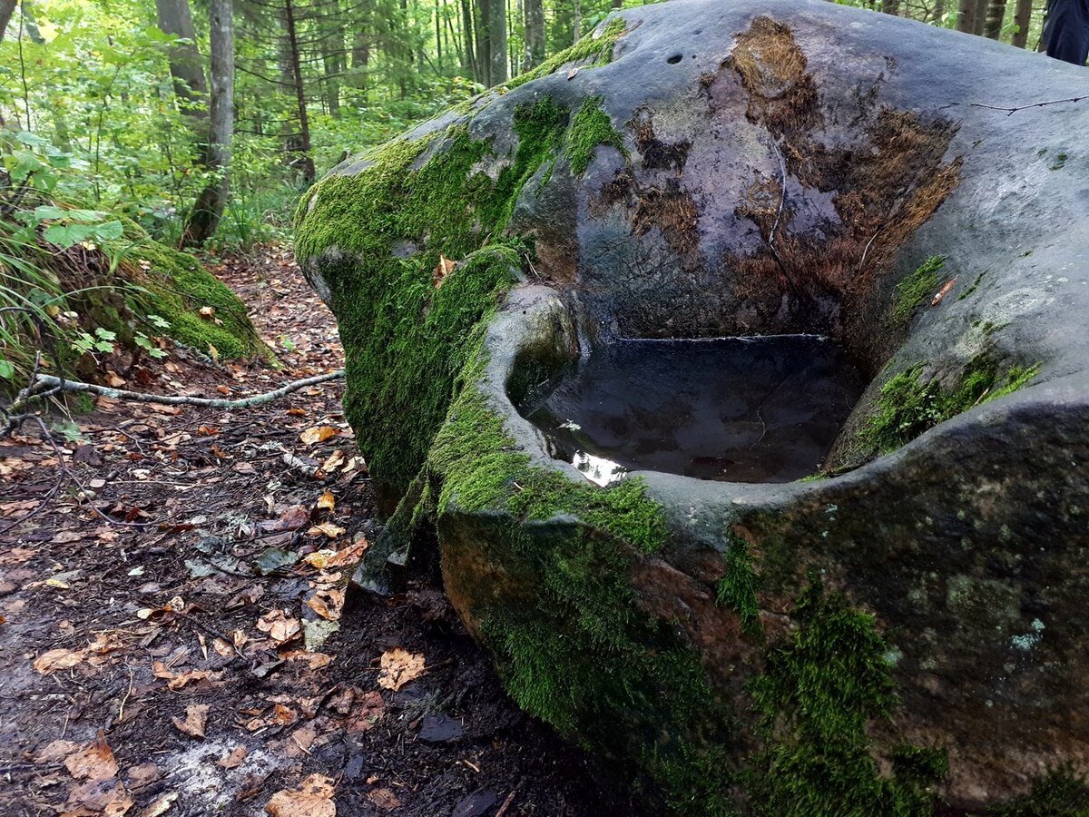 Чертов колодец на Чертовом  городище в Козельске  является тем же сакральным чашечником, что и ведьмины колодцы на Кий-острове