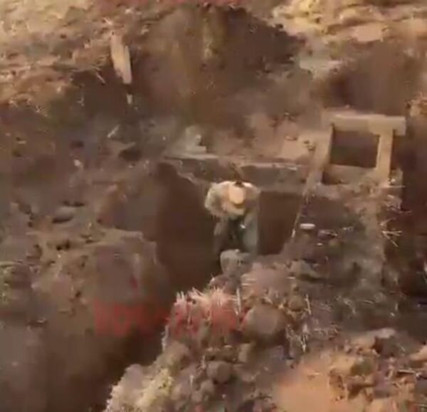 Источник фото: rostov.ru