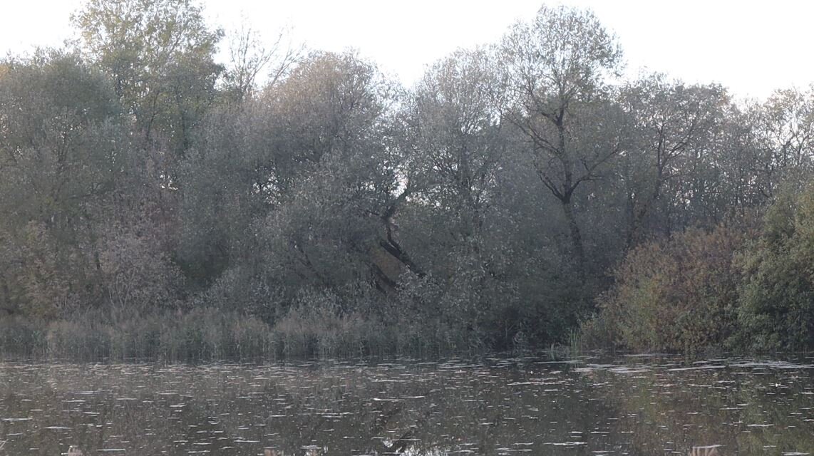 Водоем в сентябре.
