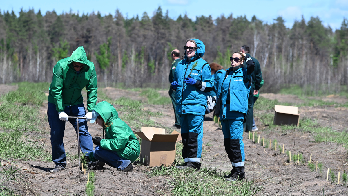 Источник: https://recyclemag.ru/article/voronezhe-otkrili-unikalnii-karbonovii-poligon 