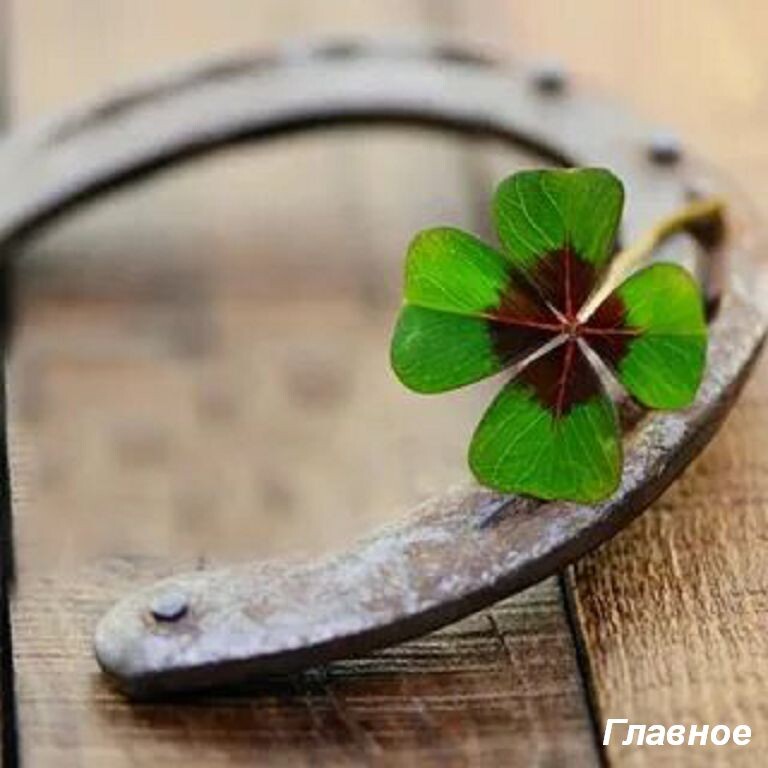 Подкова на удачу. Фото из открытых источников