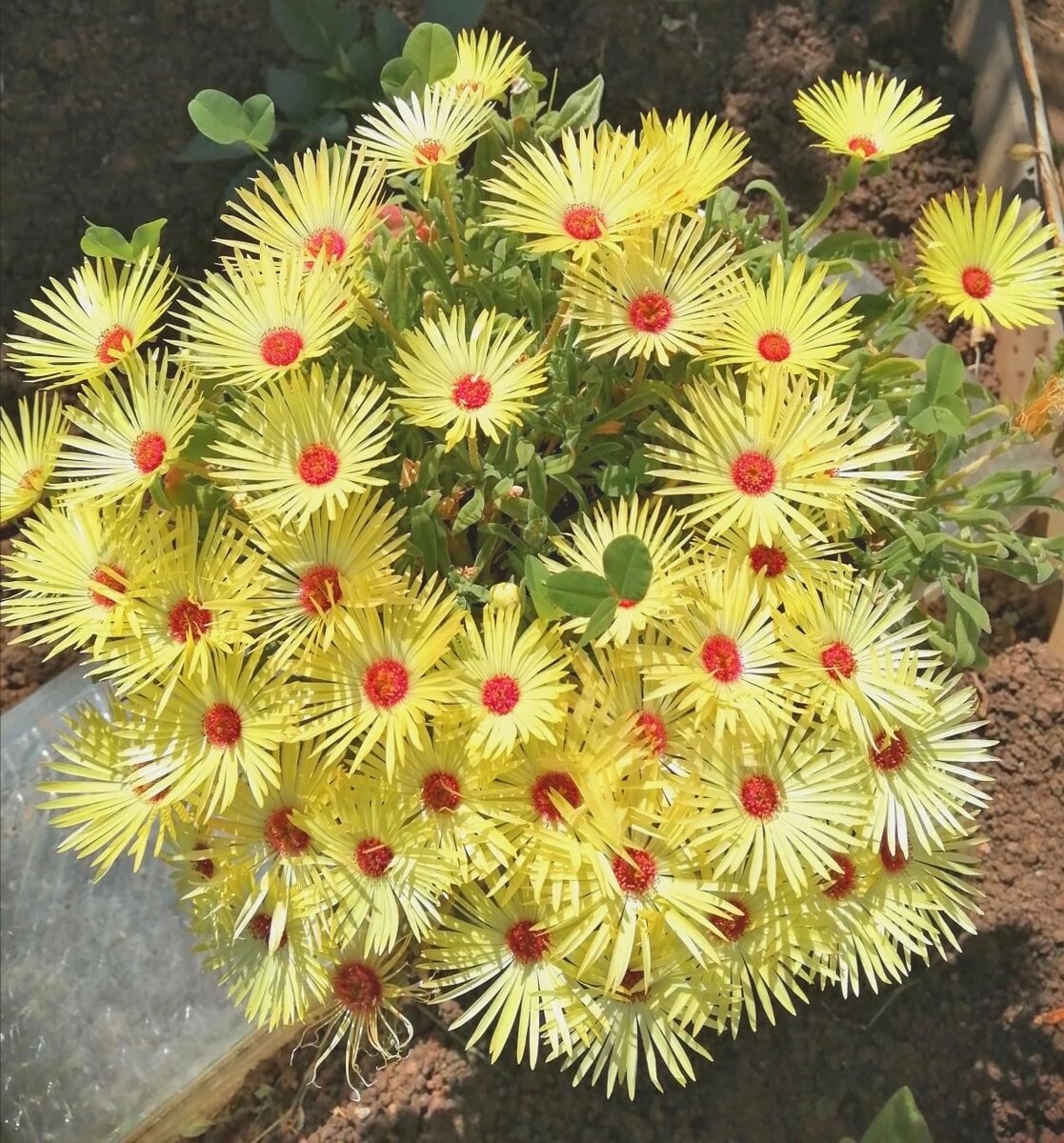 И доход, и удовольствие!