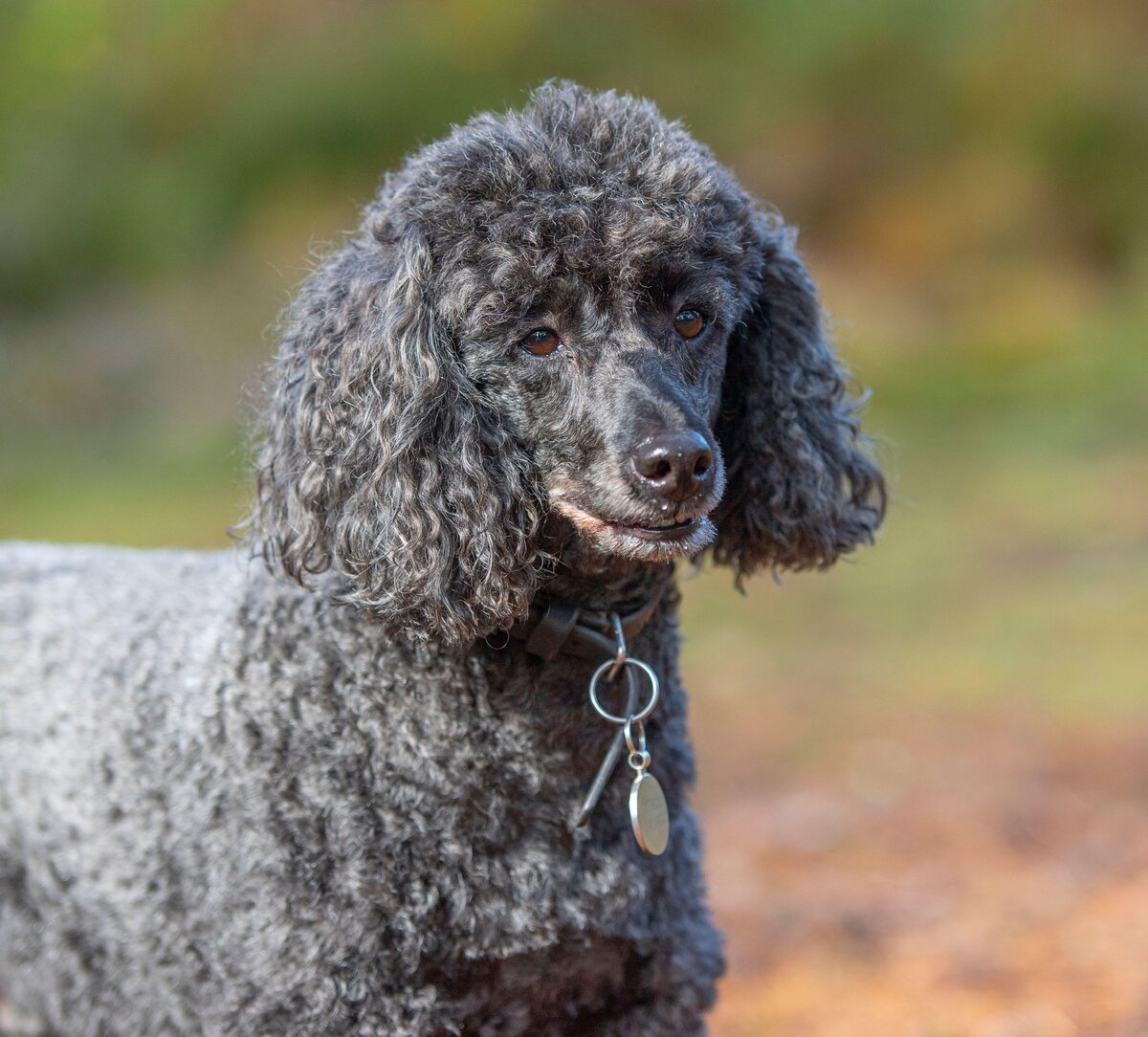   Фото: Legion-Media