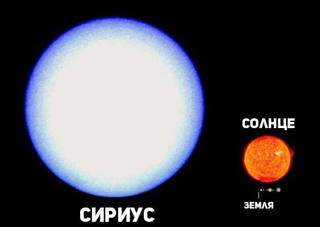 Сириус по сравнению с Землей/ © starcatalog.ru