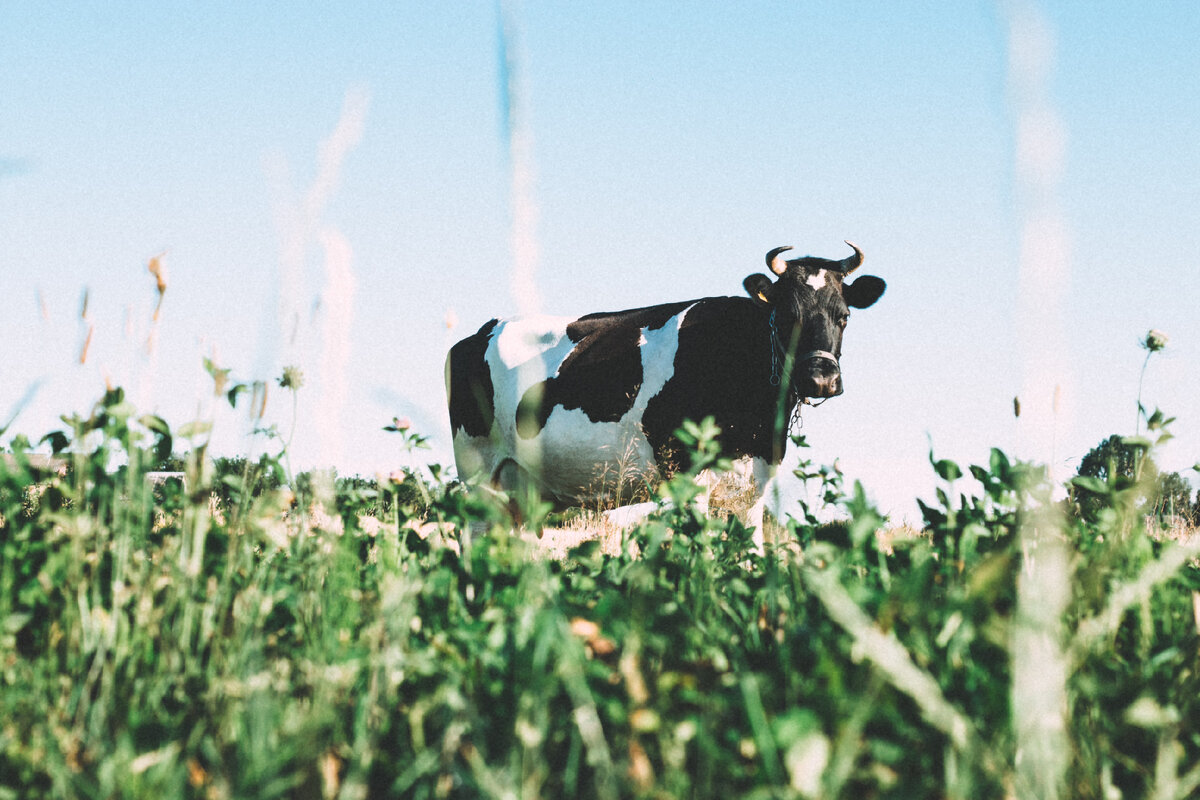 unsplash.com