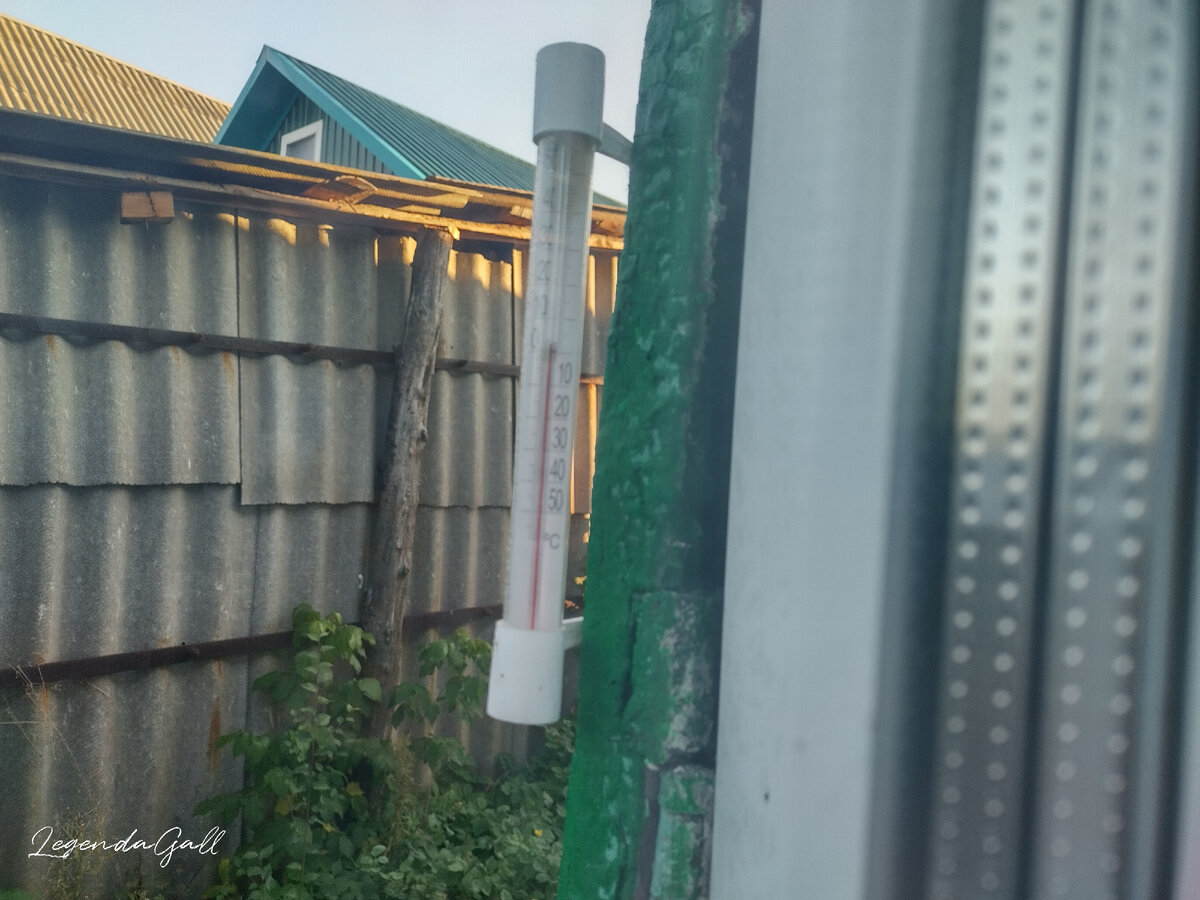 Это уже солнышко поднялось, немного разогрело...