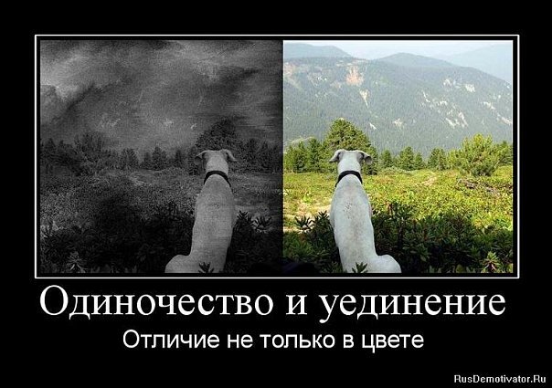 Картинка взята из открытых источников для целей иллюстрации.