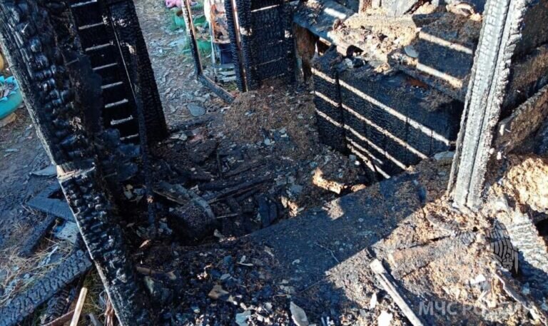    В Оренбургской области с начала 2023 года на пожарах погибли 17 человек Кристина Просвиркина