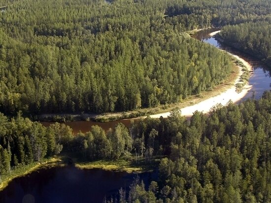     ФОТО: Пресс-служба губернатора ЯНАО