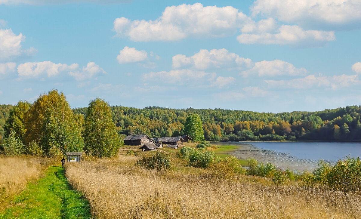 Деревня Ведягино