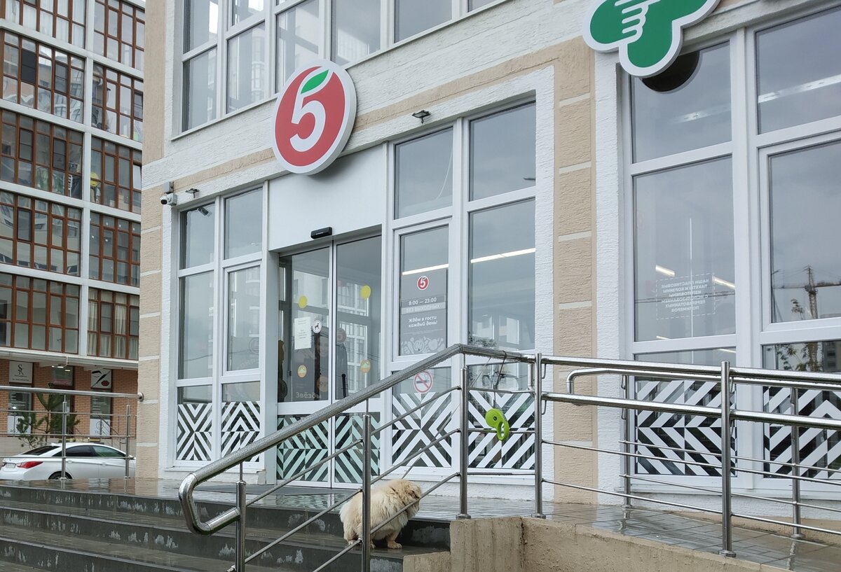 Фото автора публикации