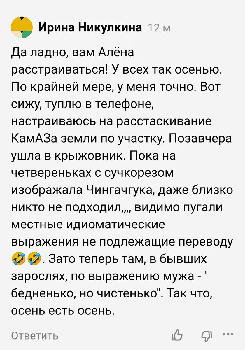 После генеральной уборки стало бедненько, но чистенько | Алёна Р | Дзен