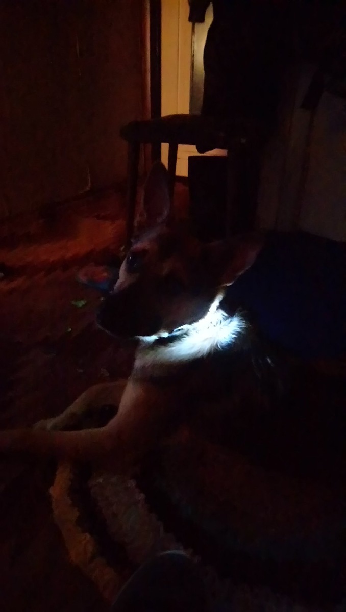 А сейчас Вы меня не видите 