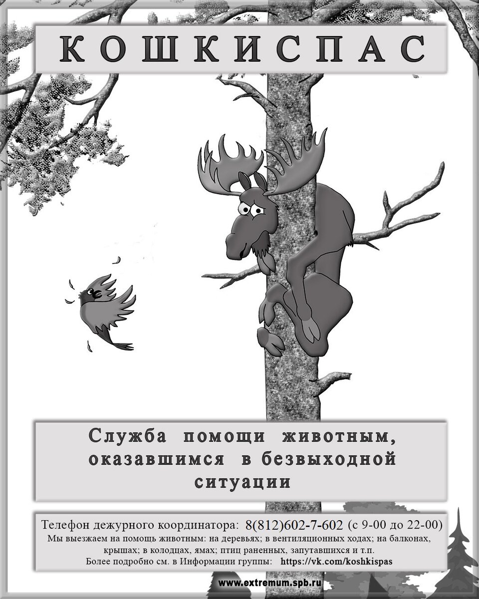 Как спасатели в лесу зверей пугали | Спасатели Экстремум | Дзен