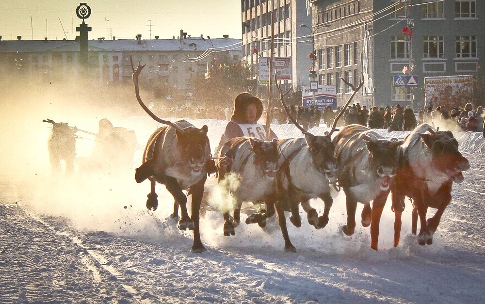 Так отмечают "День оленевода" в Воркуте...