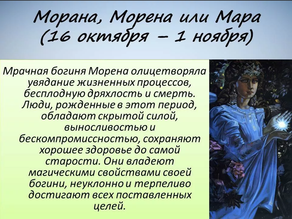 2024 год по славянскому гороскопу. Славянский гороскоп. Славянский календарь гороскоп. Старославянский гороскоп. Древнеславянский гороскоп