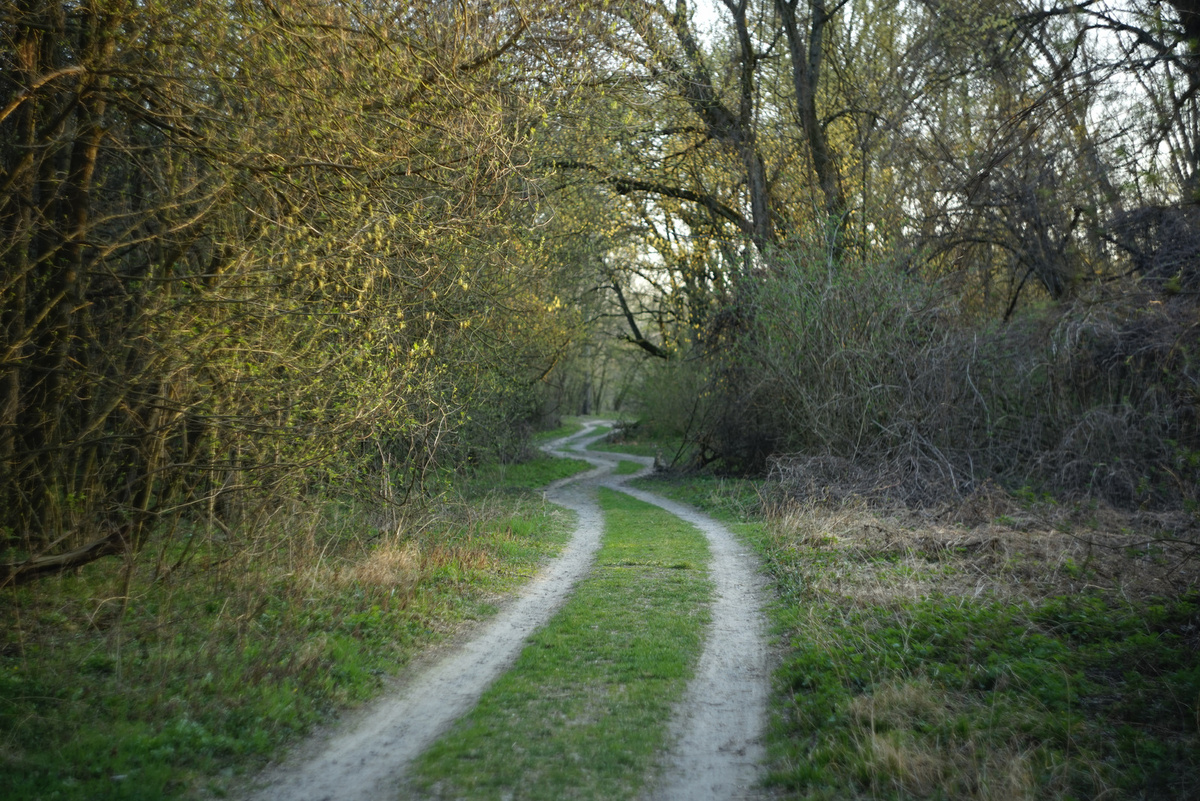 От пользователя Tom Sandroy из Pexels