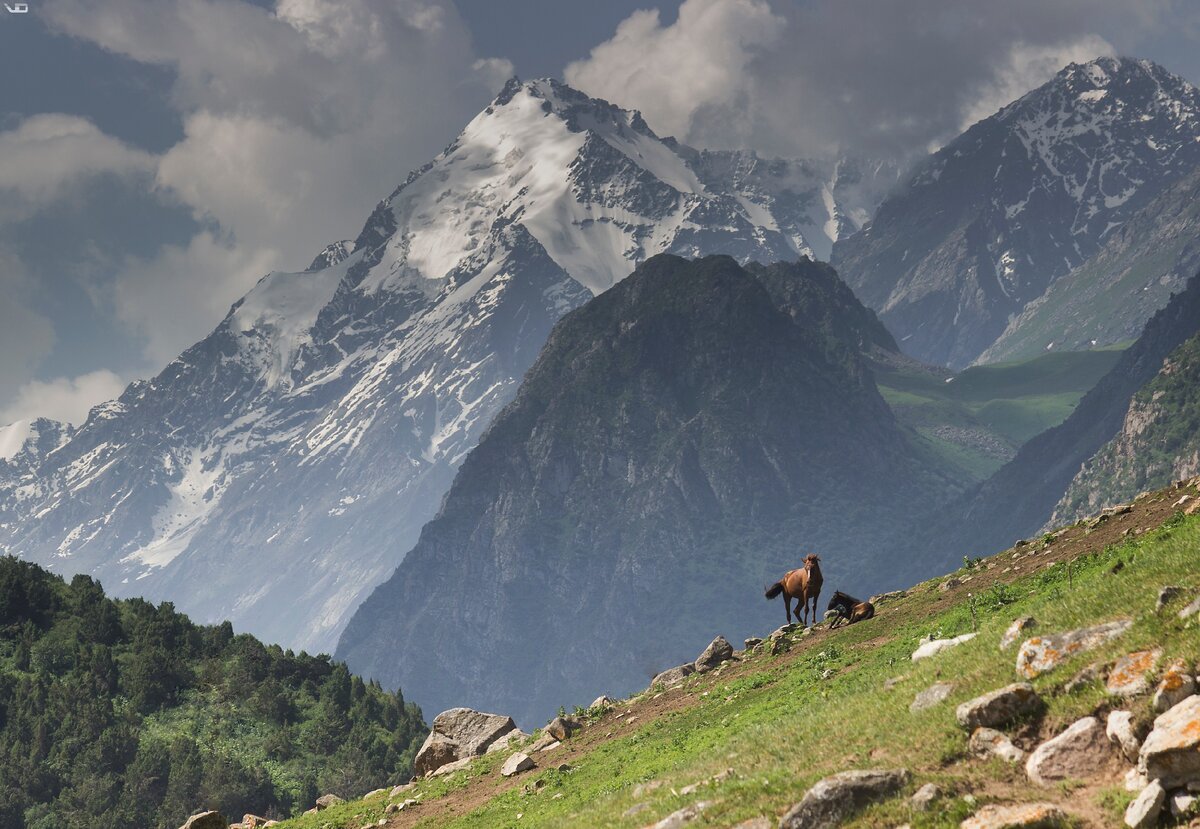 Аламединское ущелье фото