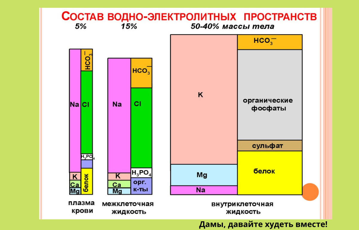 Калий натрий плазмы. Основные электролиты крови. Водно-электролитные пространства организма, их состав. Электролитный состав жидкостей организма. Электролитный состав.