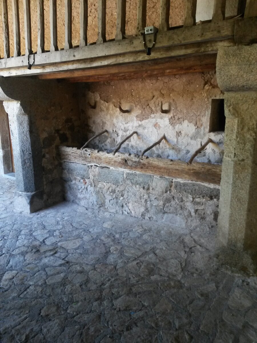 Раньше лошадей здесь привязывали