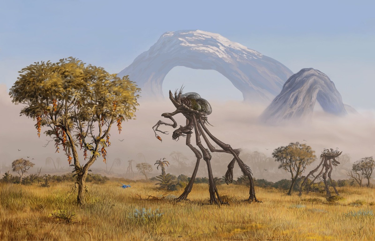 возможная форма жизни на другой планете 