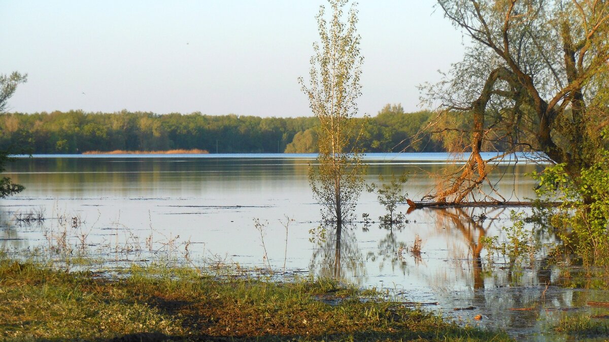зеркальная гладь воды