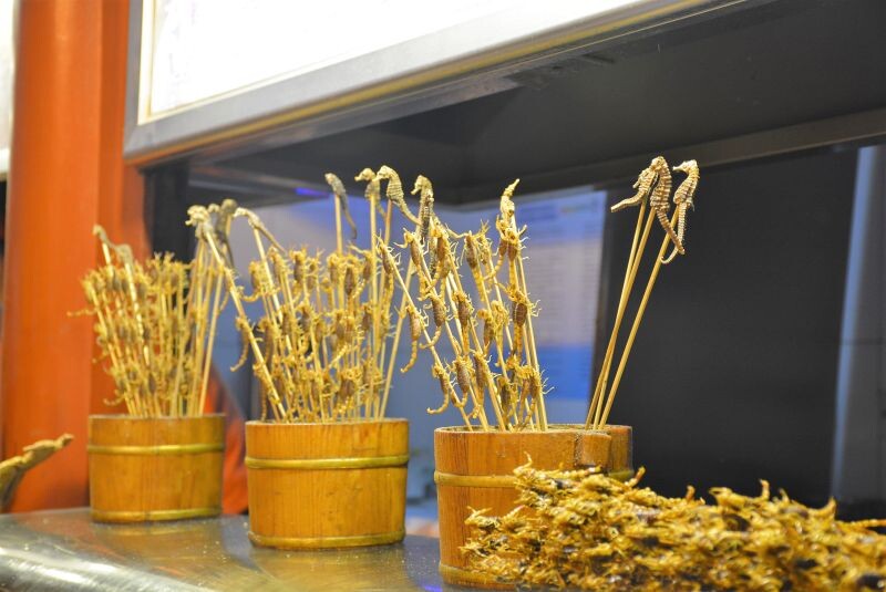 #Экзотическая еда на ночном рынке в Пекине.