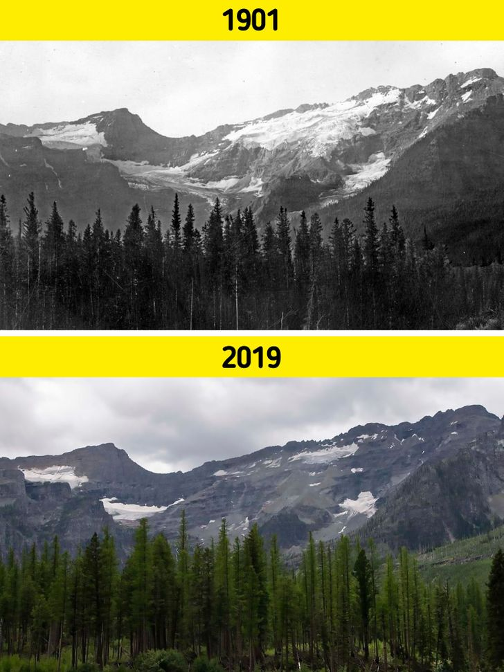 ©  Бейли Уиллис / Библиотека фотографий Геологической службы США , ©  Общественное достояние , ©  Лиза МакКеон / Научный центр Северных Скалистых гор Геологической службы США , ©  Общественное достояние