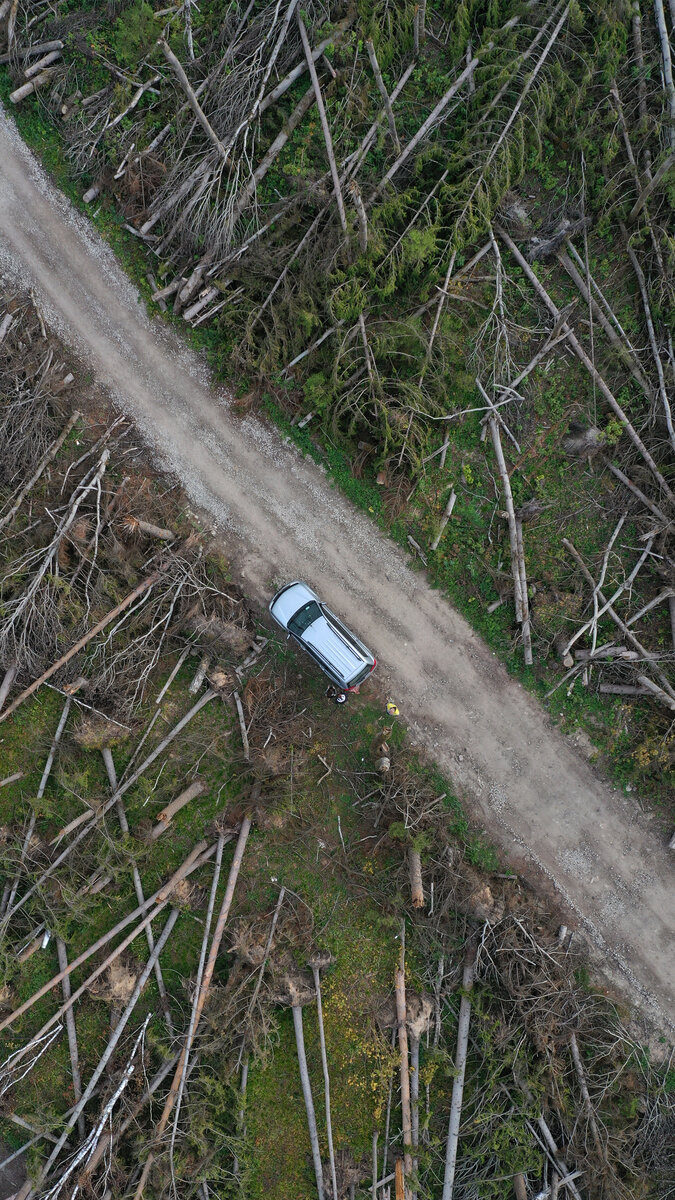 От увиденного мурашки по коже...