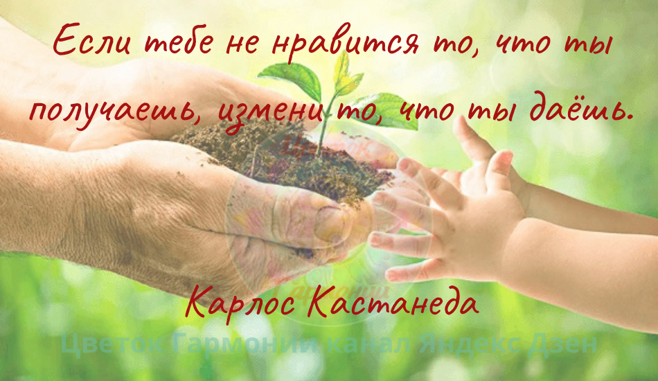 Каждый идет своим путем. Если идешь с удовольствием, значит, это твоя дорога. Если тебе плохо — в любой момент можешь сойти с нее, как бы далеко ни зашел. И это будет правильно.