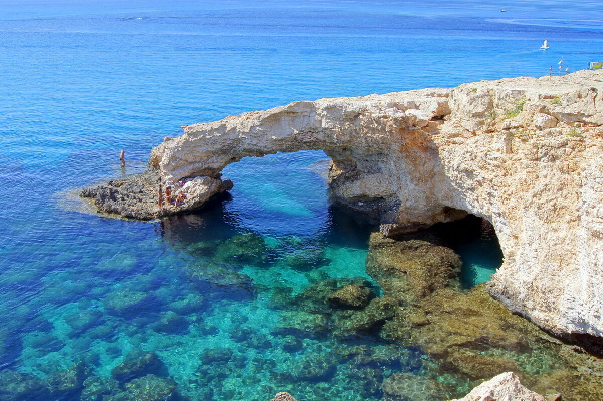 Фото из свободных источников