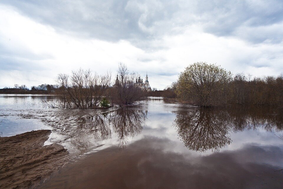 Фото: pixabay.com