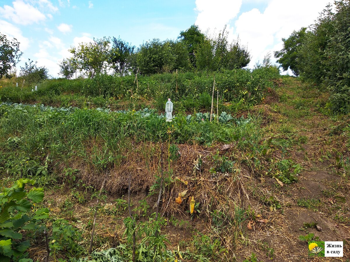 Террасы на склоне - это очень удобно и практично