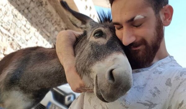 Айболит из Турции: Хасан Кизил подарил жизнь более 400 животным