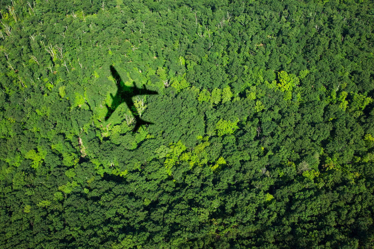 Фото: Thomas Jackson - Getty Images