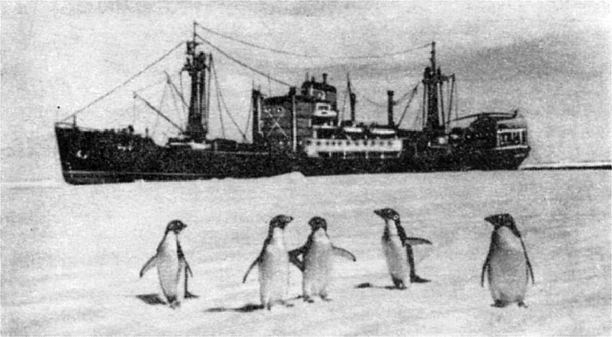 Обь в Антрктиде