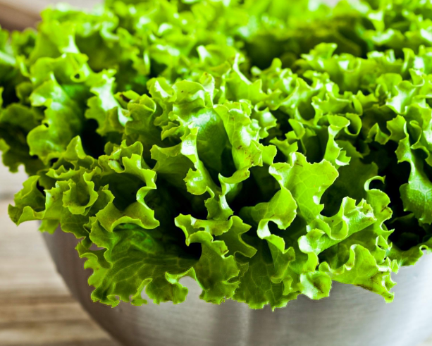 Горький вкус листьев салата часто явление, которое способно подпортить вкус любого блюда.