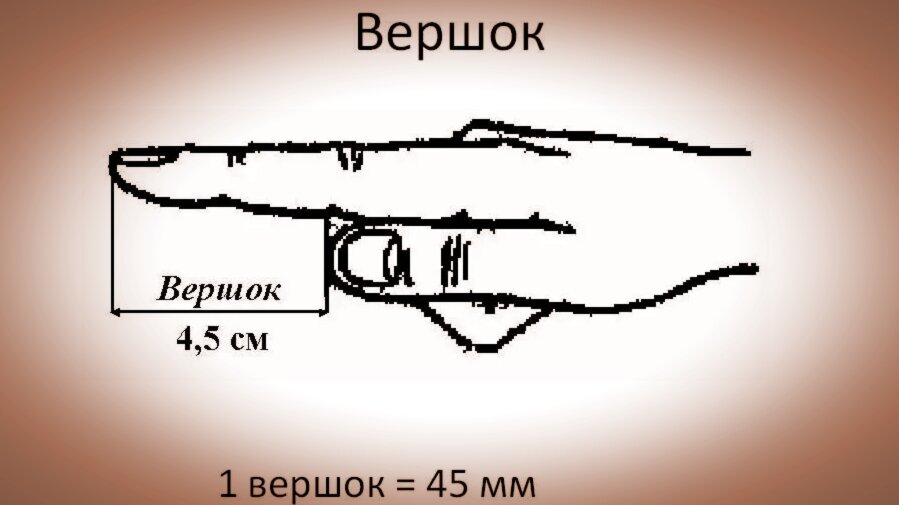 Вершок это сколько. Аршин вершок. Вершок фото. Вершок мера длины.