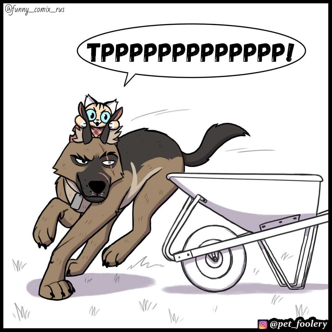 Источник: Instagram @funny_comix_rus