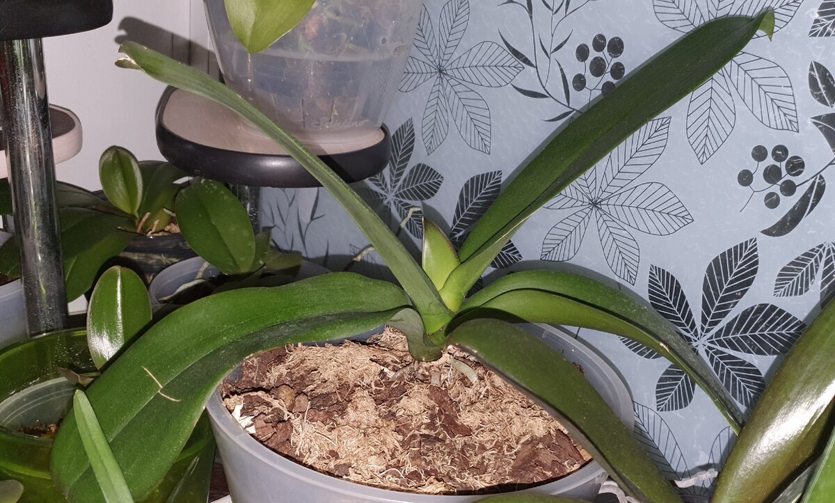 ее первое фото дома